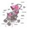 Badger Basket Gray & Pink Cruise Folding Inline Double Doll Stroller